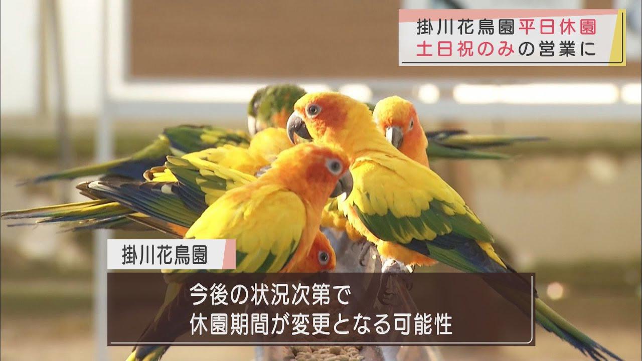 画像: 静岡県知事が外出自粛要請終了を発表した翌日から…掛川花鳥園、平日休園に「状況次第で期間を変更」 youtu.be