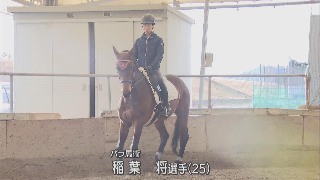画像: 稲葉将選手
