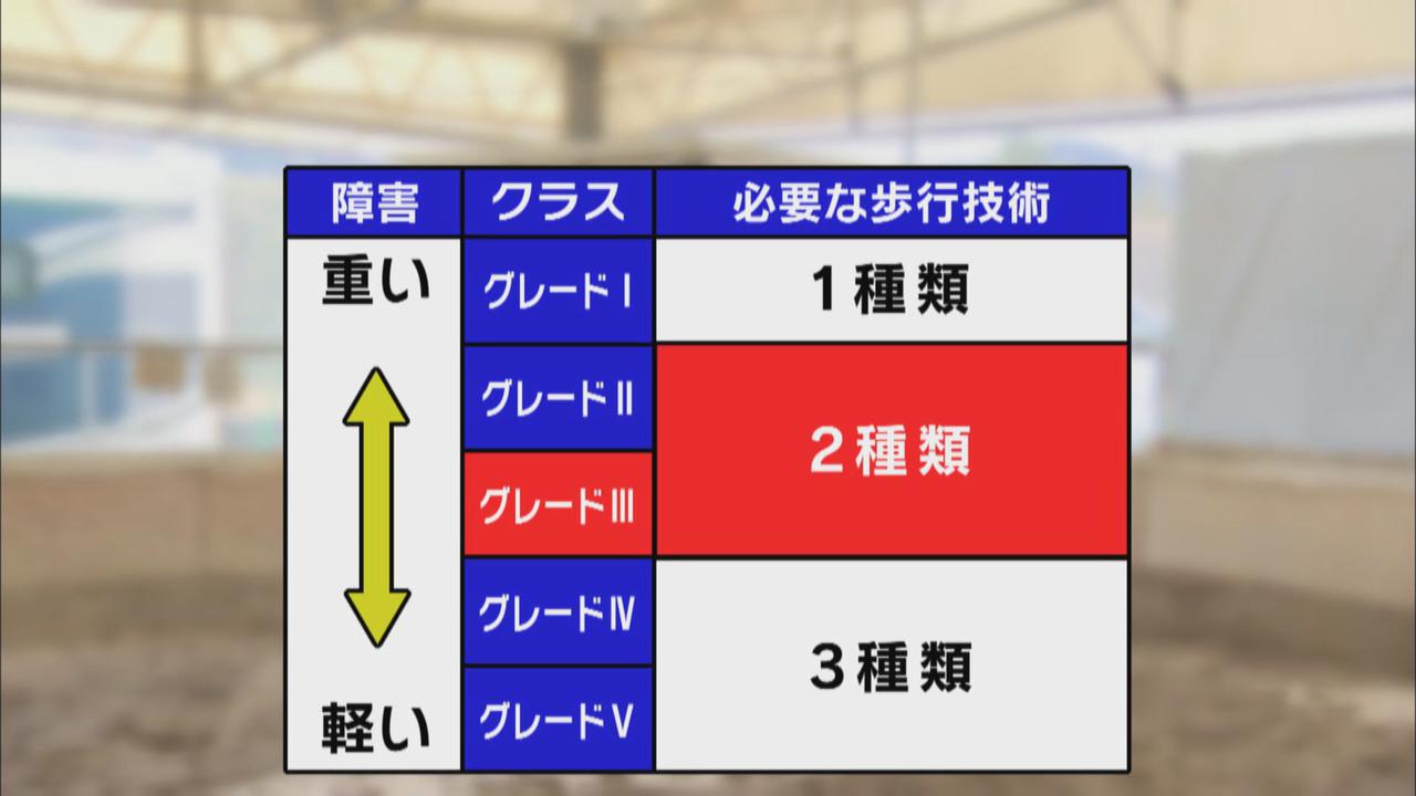 画像: 障害の程度でクラス分け