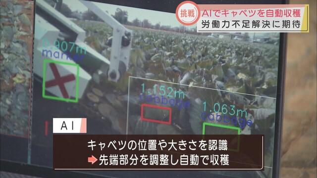 画像2: 高齢化などで労働力不足…農業の課題をAIで解決 位置や大きさ認識し、キャベツを自動収穫 浜松市