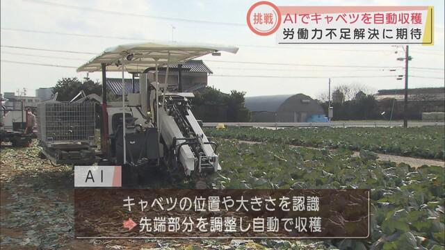 画像1: 高齢化などで労働力不足…農業の課題をAIで解決 位置や大きさ認識し、キャベツを自動収穫 浜松市