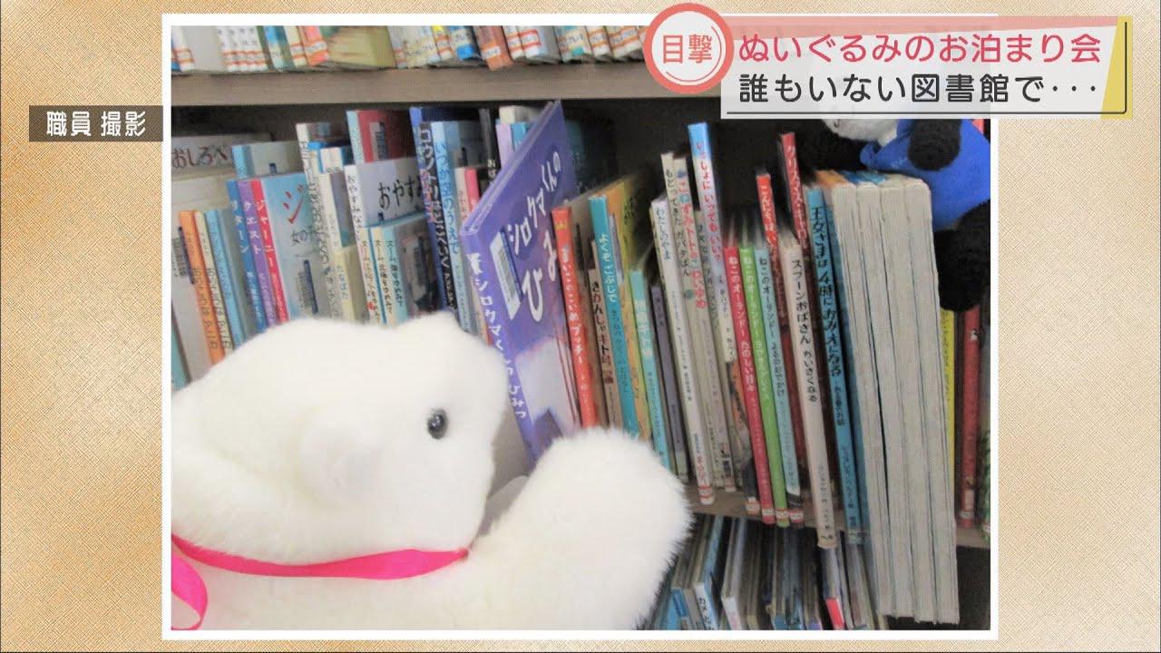 画像: 夜になると・・・図書館でぬいぐるみたちが大冒険「ぬいぐるみの図書館お泊り会」 youtu.be