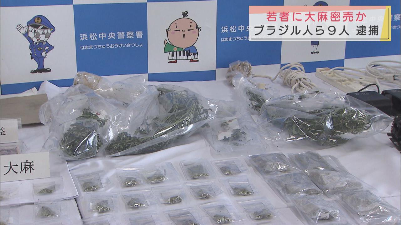 画像: 押収された大麻　浜松中央署