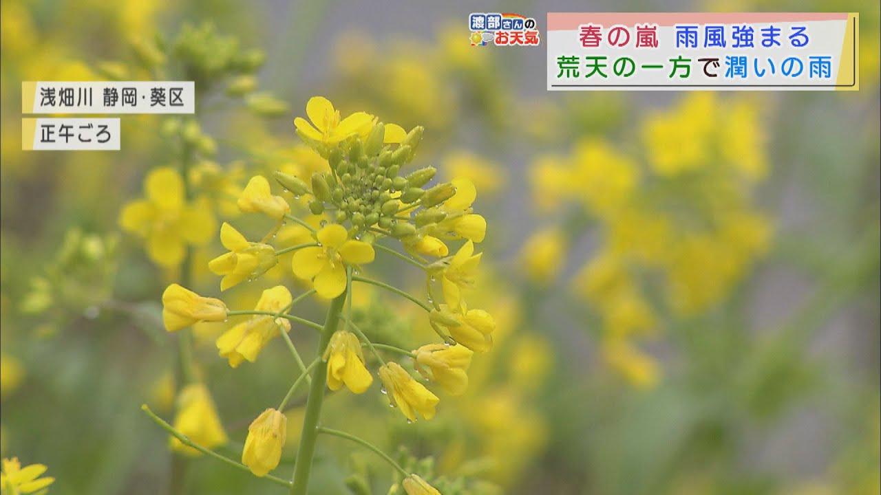 画像: 【3月2日　静岡】渡部さんのお天気　あすは「晴れても冷たい風」…冬の寒さが戻る youtu.be
