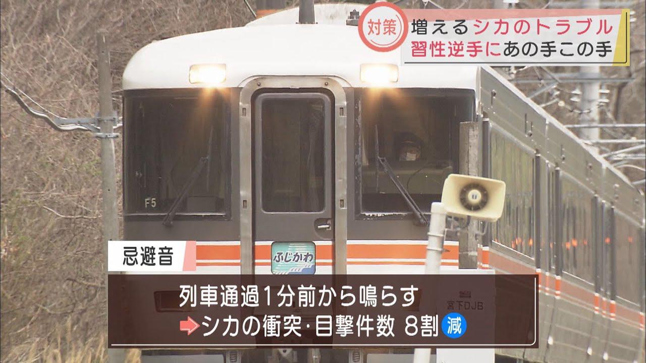 画像: シカの衝突事故を防げ　JR身延線あの手この手の対策　静岡 youtu.be