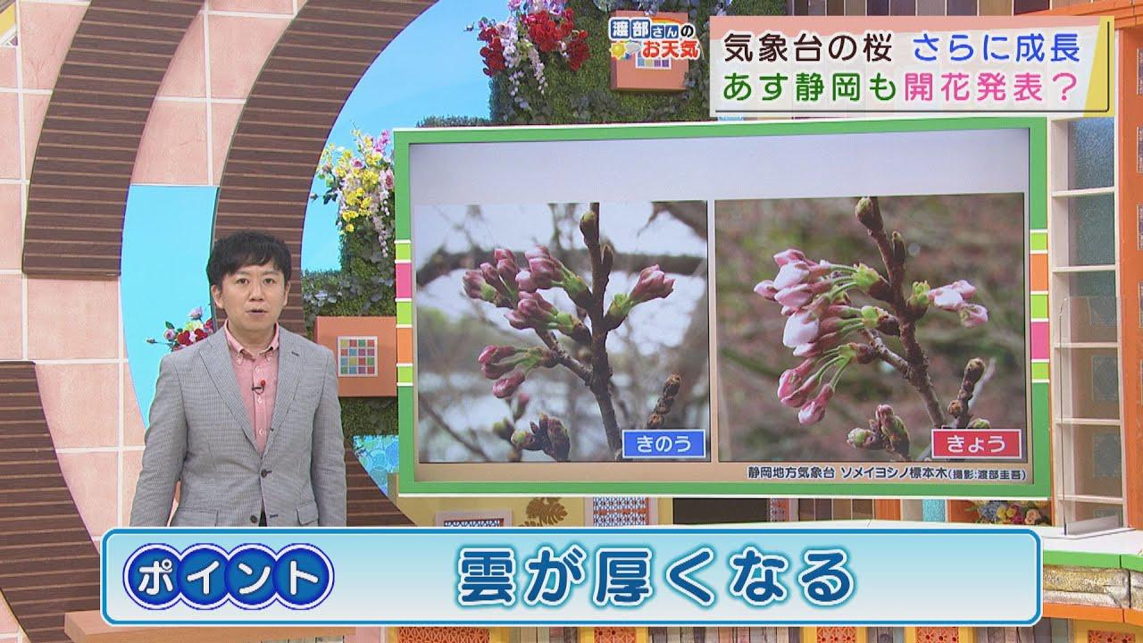 画像: 【3月19日 静岡】渡部さんのお天気 あすは「雲が厚くなる」 日曜日は「春の嵐」か youtu.be