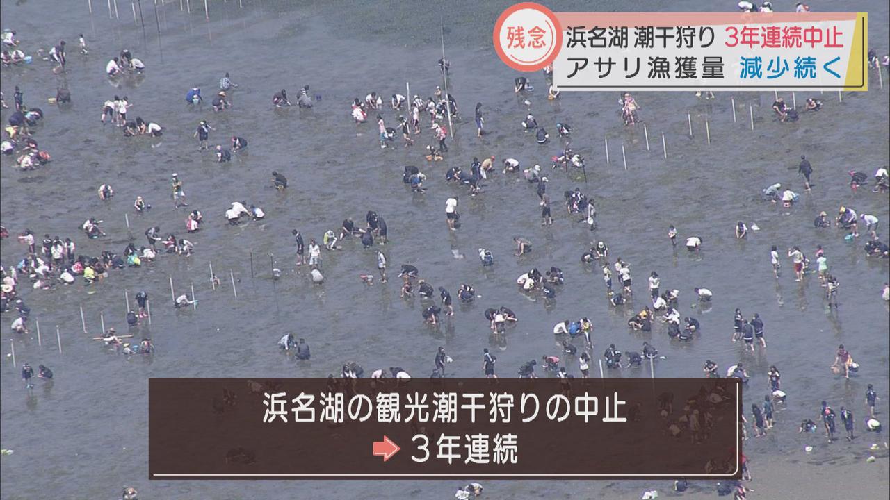 画像: 3年連続中止…浜名湖の観光潮干狩り 漁獲量減少で 静岡県