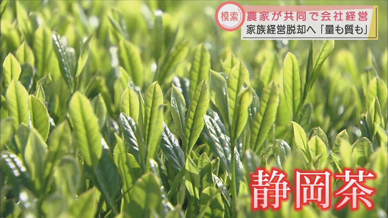 画像: 首位陥落の静岡県の茶産業　農家の抱える課題とは　新たな取り組みを始めた若手農家も youtu.be