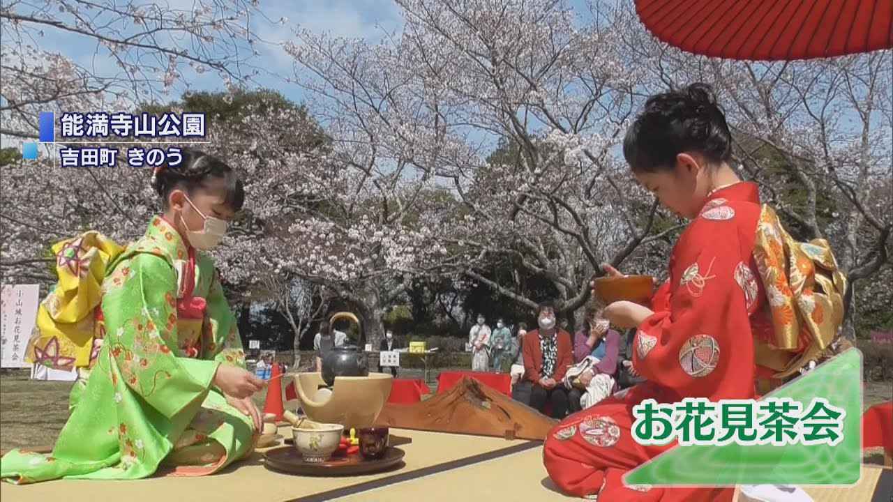 画像: 展望台小山城の来場者を増やそうと…公園でお花見茶会 静岡・吉田町 youtu.be