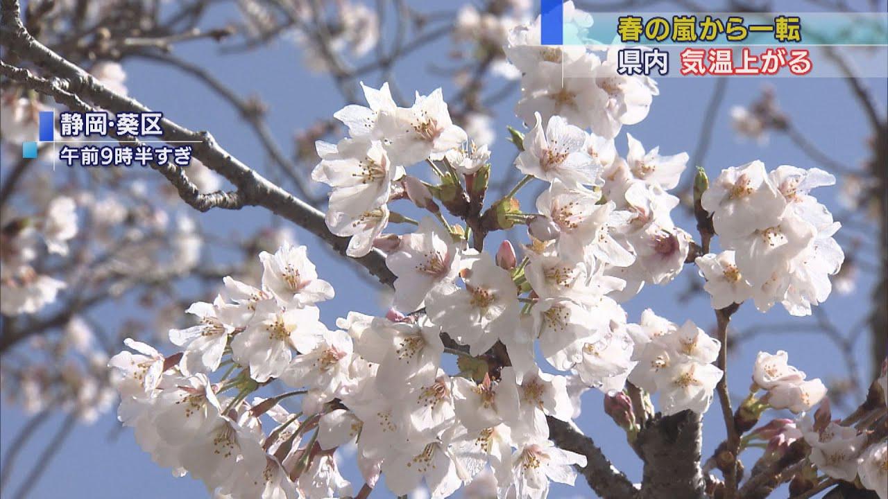 画像: 静岡と三島は25度の夏日となる予想 昨夜の24時間雨量は静岡・浜松で過去最大 静岡県/3月29日 youtu.be