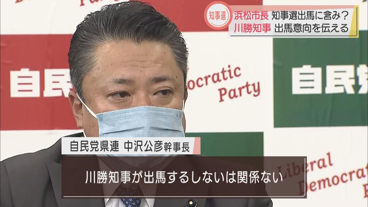 画像: 自民党は