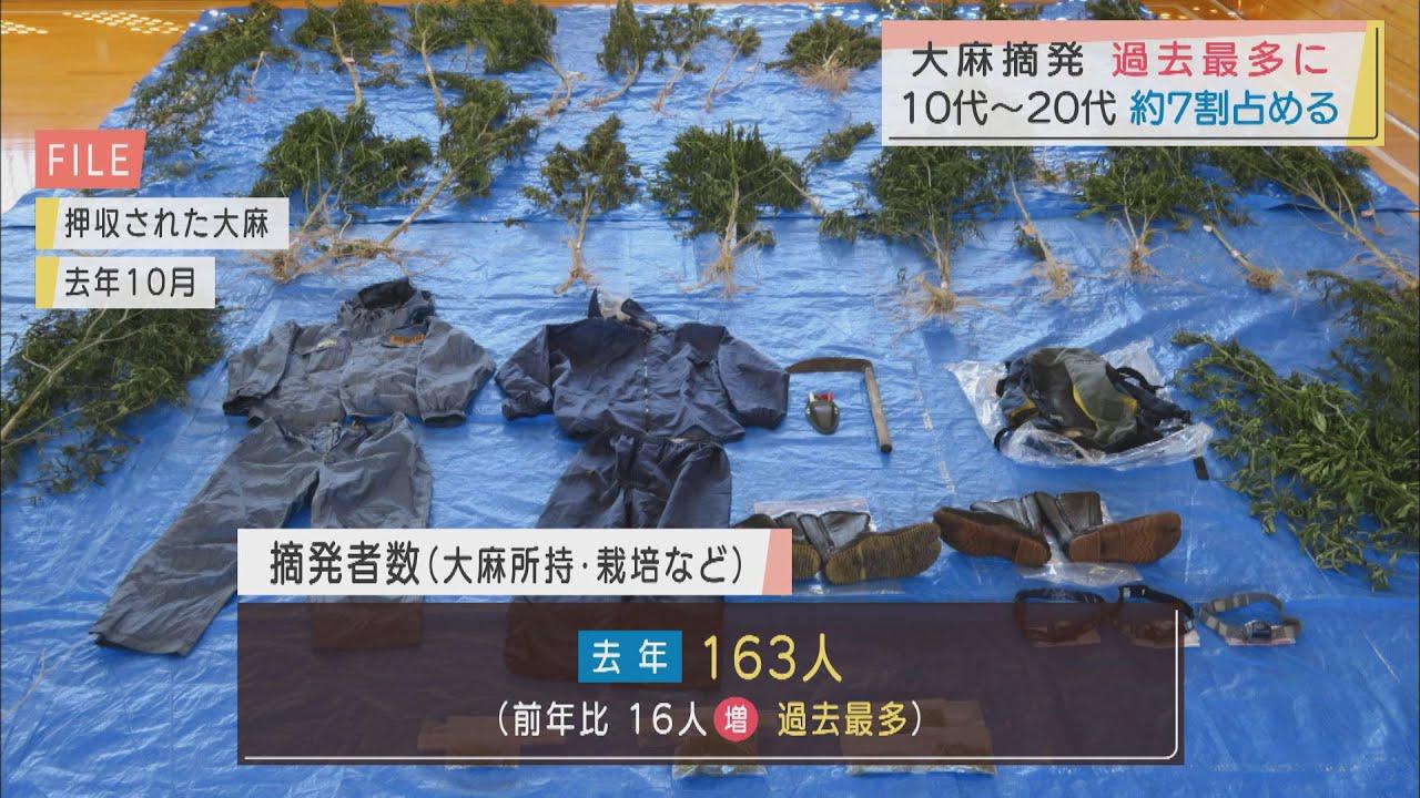 画像: 10代、20代が7割…大麻摘発が過去最多 広がる「大麻リキッド」 静岡県 youtu.be