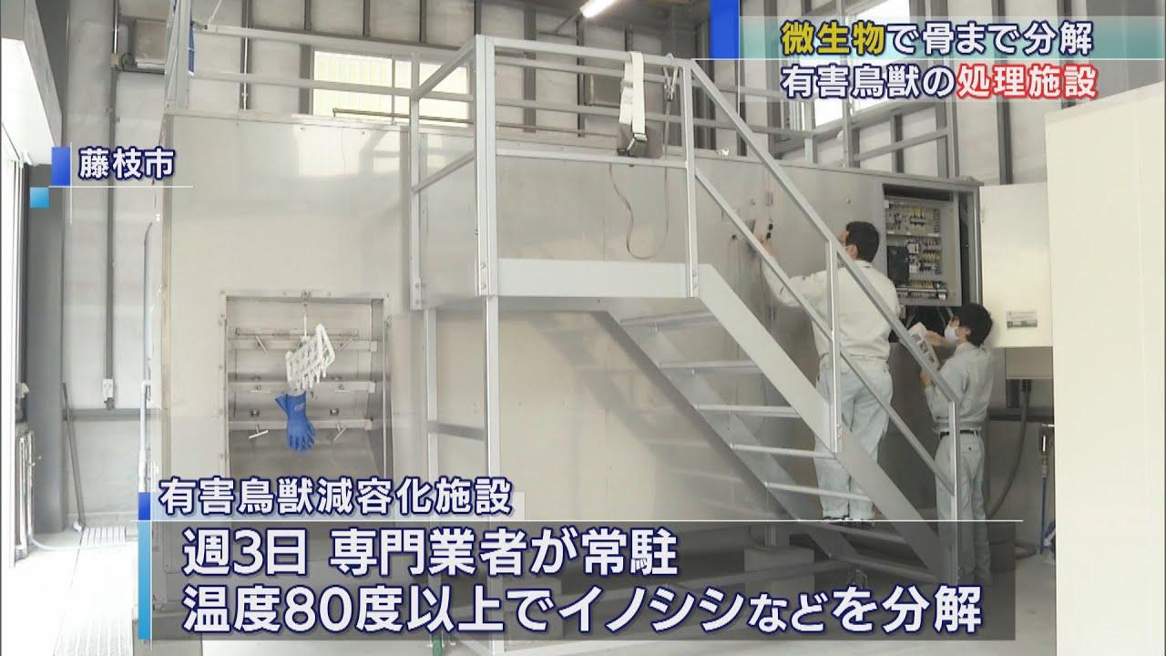 画像: 微生物活性化させ骨まで分解 イノシシなど有害鳥獣の処理施設の供用開始 静岡・藤枝市 youtu.be