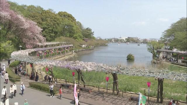 画像: 「藤まつり」中止…17日から開催予定 公園内の飲食の出店はテイクアウトだけ 例年の半数以下に 静岡・藤枝市