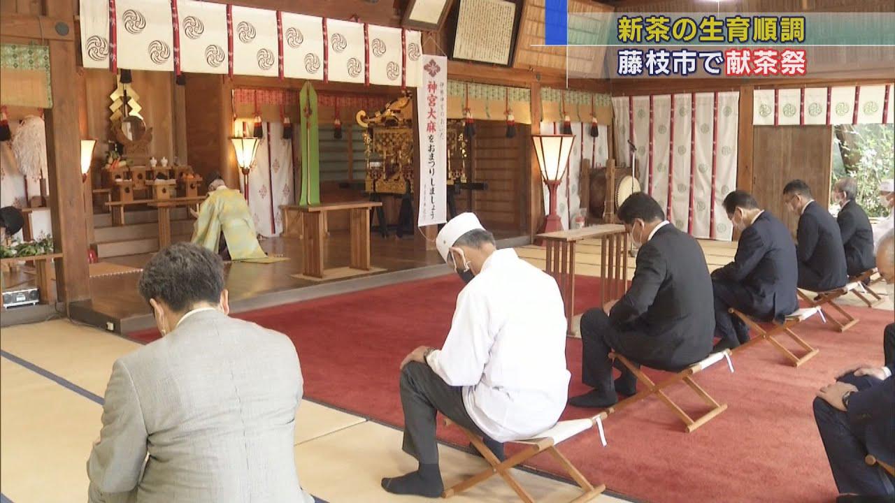 画像: 茶業繁栄を願い…茶どころ・静岡県藤枝市で献茶祭　生育順調で去年より1週間早い15日に新茶初取引 youtu.be