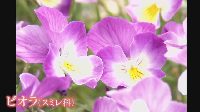 画像2: 取材時間は1時間