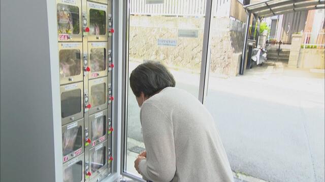 画像3: こだわりはグルテンフリー
