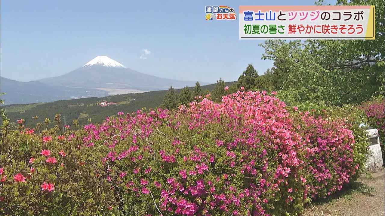 画像: 【4月20日 静岡】渡部さんのお天気 あすは「晴れて汗ばむ陽気」 youtu.be