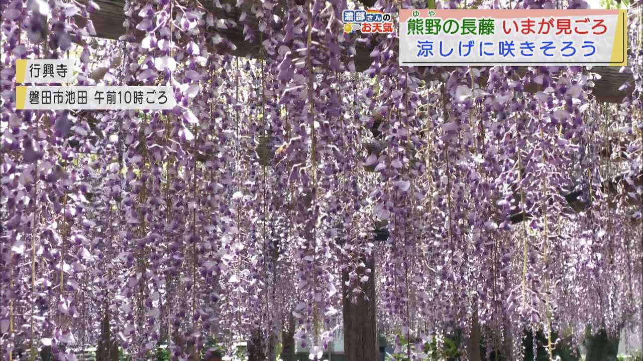 画像: 【4月21日　静岡】渡部さんのお天気　あすは「晴れて空気カラカラ」 youtu.be
