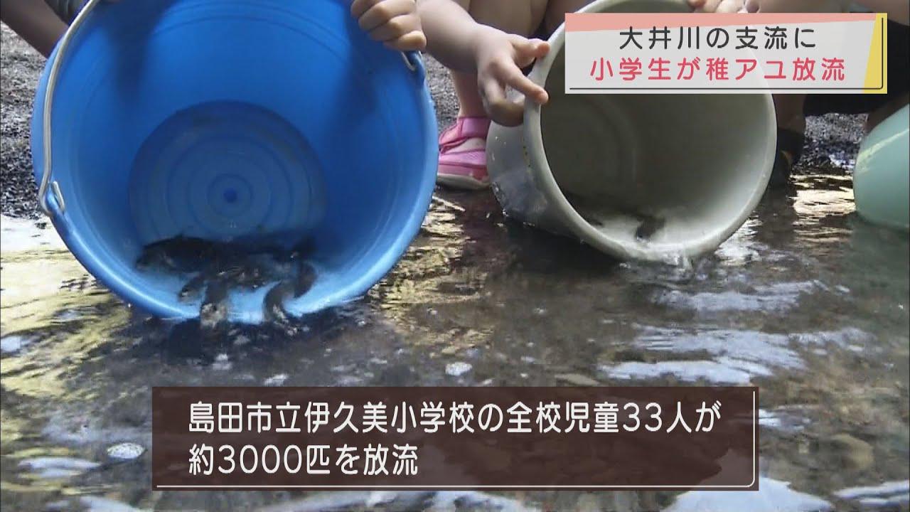 画像: 小学生が稚アユ3000匹を放流 静岡・島田市 youtu.be