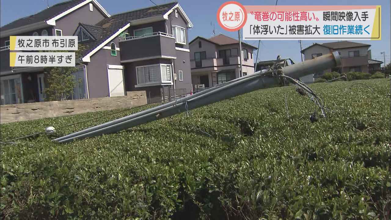 画像: 茶畑では防霜ファンが倒れ…