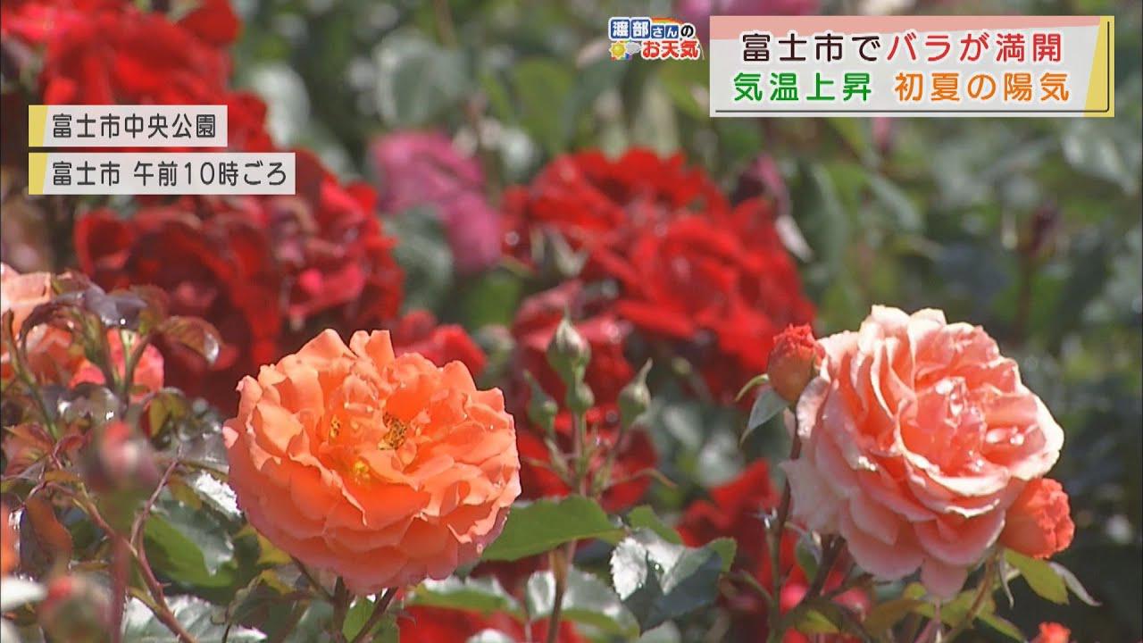 画像: 【5月6日　静岡】渡部さんのお天気　「あすは午後から雨雲流れ込む」 youtu.be