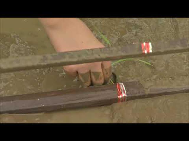 画像: 昔ながらの田植え定規で田植えを体験 静岡・富士市立元吉原小学校 youtu.be