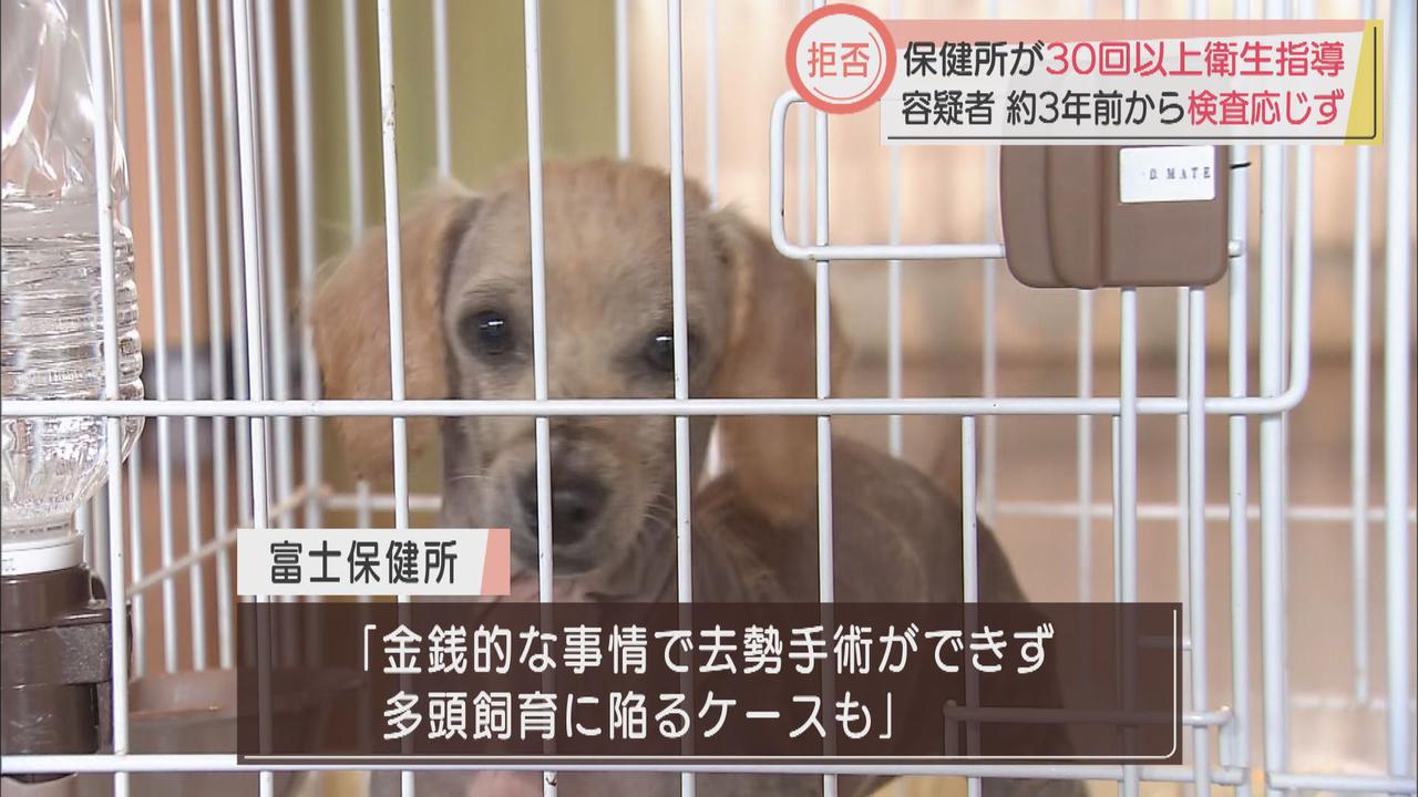 画像: 狭い場所で85匹の犬を飼育…容疑者の女に保健所が30回以上衛生指導 16日には保護された犬の里親探す譲渡会も 静岡・富士市