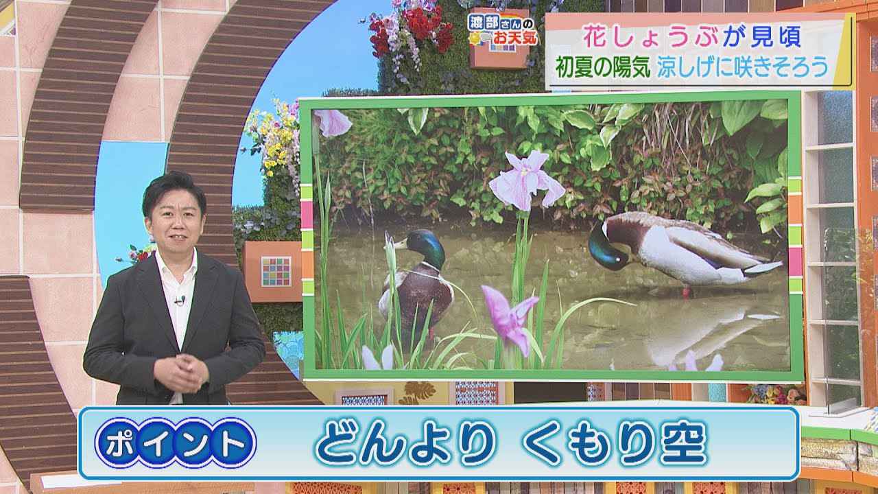 画像: 【5月14日 静岡】渡部さんのお天気 あすは「どんよりくもり空」すっきりしない空模様に youtu.be