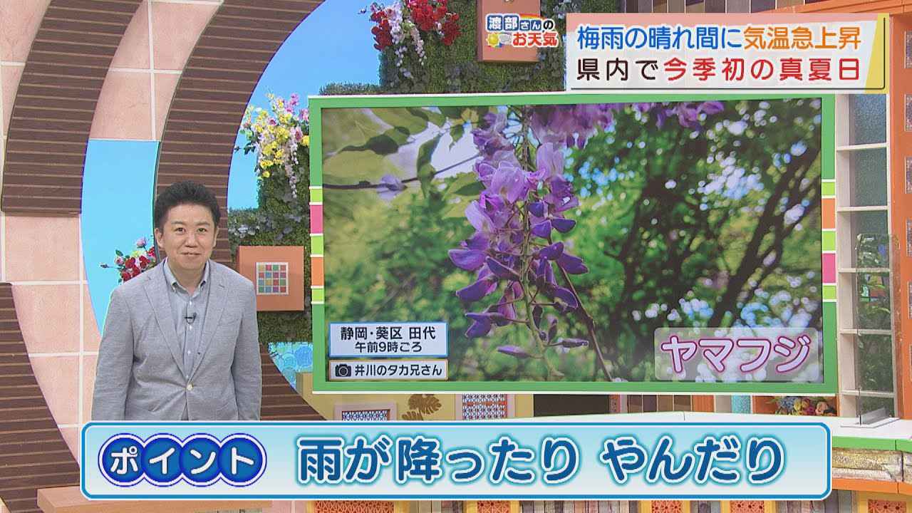 画像: 【5月18日 静岡】渡部さんのお天気 あすは「雨が降ったりやんだり」傘が手放せない1日に youtu.be