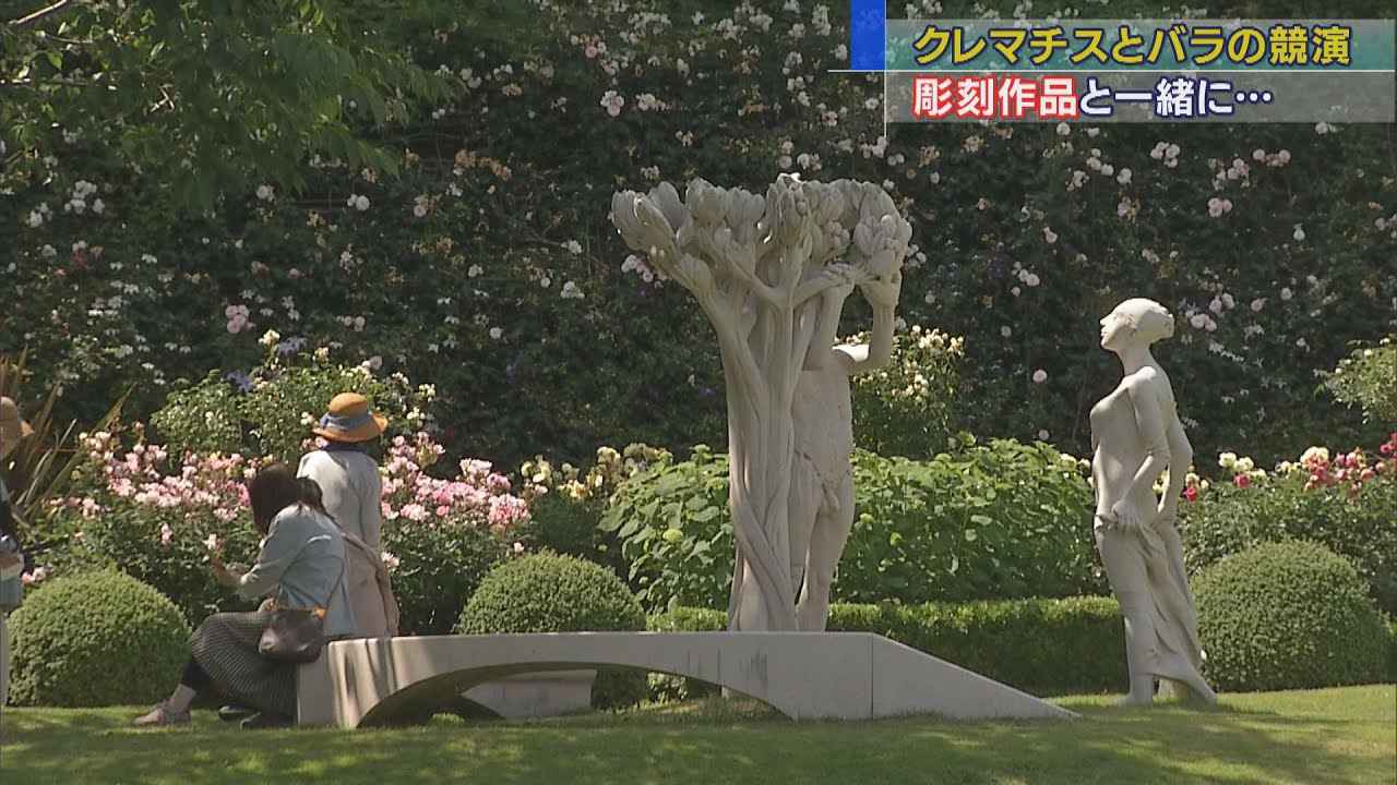 画像: クレマチスとバラ、それに彫刻の競演 ヴァンジ彫刻庭園美術館 静岡・長泉町 youtu.be
