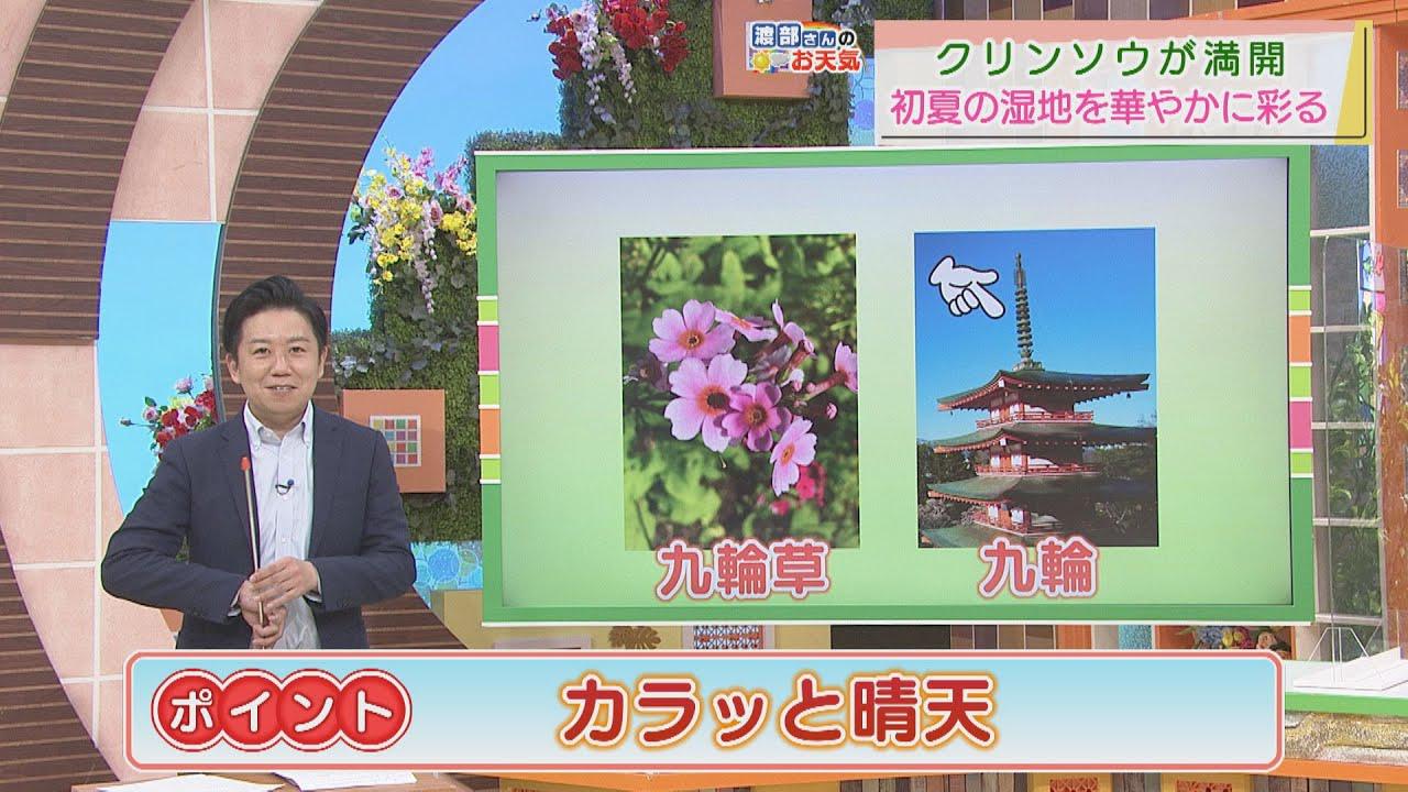 画像: 【5月31日　静岡】渡部さんのお天気　あすは「カラッと晴天」 youtu.be