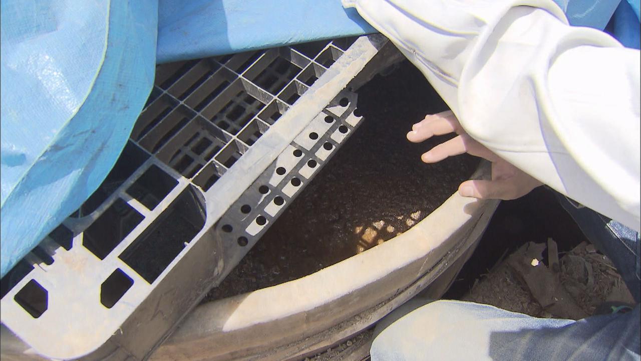画像: 奇跡的に被害を免れた「もろみ」