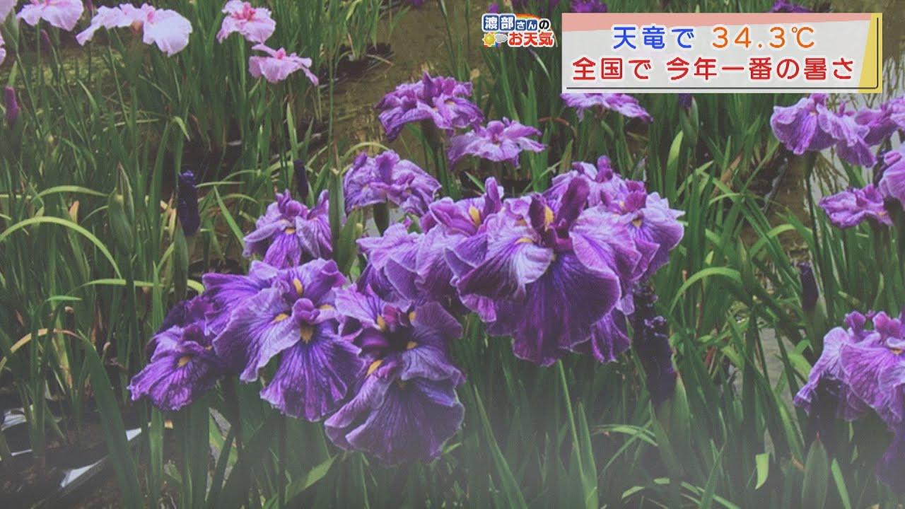 画像: 【6月8日 静岡】渡部さんのお天気 浜松・天竜で34.3℃…全国で今年一番高い気温 あすは「暑さの強い日差し」 youtu.be