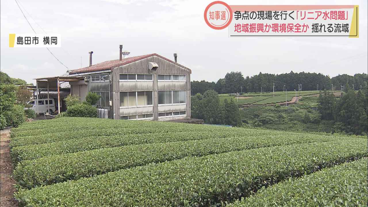 画像: 争点の現場(2)茶農家