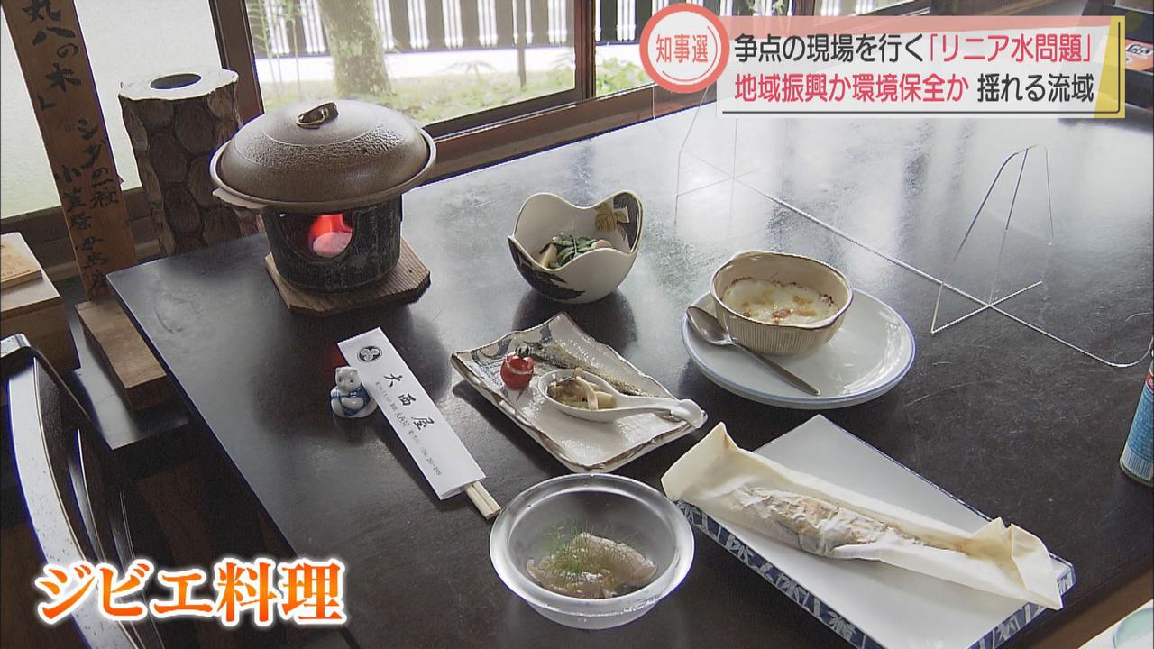 画像3: 争点の現場(3)静岡市井川地区
