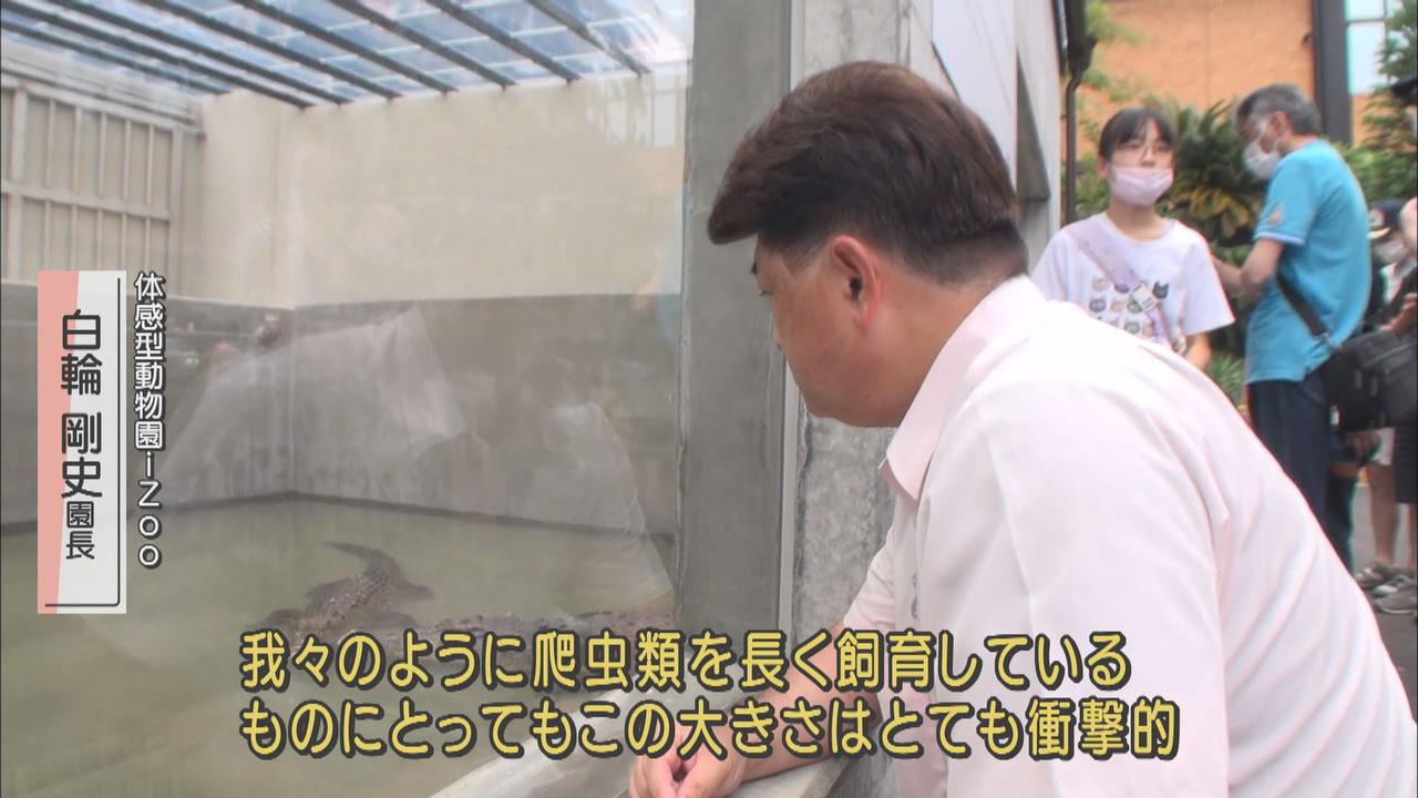 画像2: ワニより人気…脱走犯を逮捕した?白輪園長