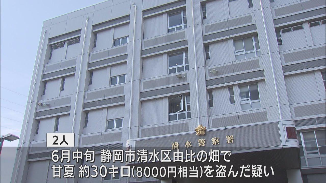 画像: 農作物被害相次ぐ静岡市清水区の由比地区で…甘夏盗んだ容疑で男2人を再逮捕 youtu.be