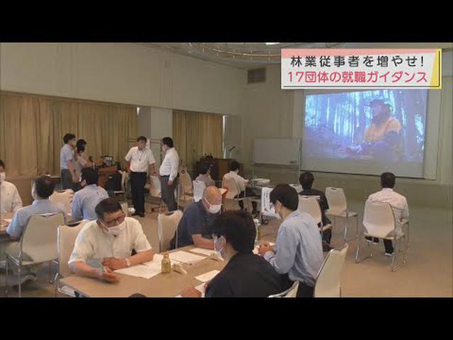 画像: 木材値上がりの林業…人材不足で追い風生かせず…業界団体が就職ガイダンス開催 静岡県 youtu.be
