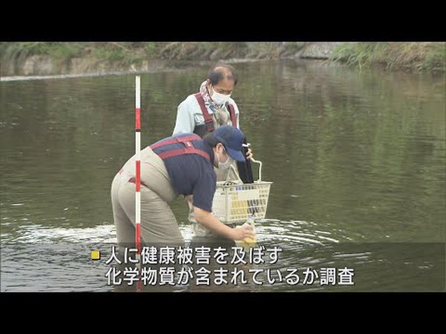 画像: 富士川の水に化学物質は? 静岡・山梨両県で合同の水質調査 youtu.be