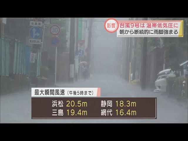 画像: 台風9号から変わった温帯低気圧の影響で荒れた天気に 10日には日差し戻るも強風と高波続く予想 静岡県 youtu.be