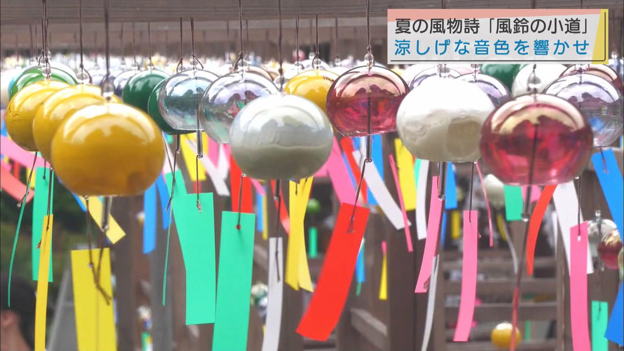画像: 夏の風物詩　可睡斎「風鈴の小道」　静岡・袋井市
