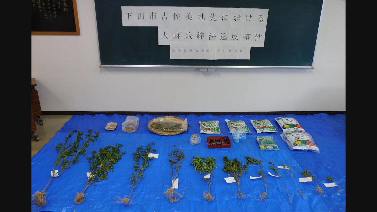 画像: 自宅で乾燥大麻を所持か　静岡県下田市の40代の夫婦を逮捕　静岡県警