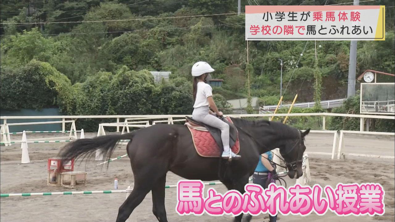 画像: 「ドキドキした」小学生が乗馬体験 静岡・河津町