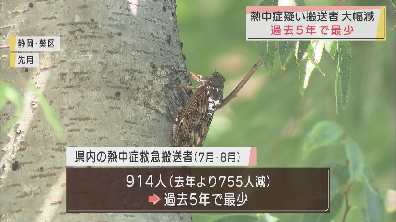 画像: 熱中症による救急搬送過去5年間で最少　静岡県
