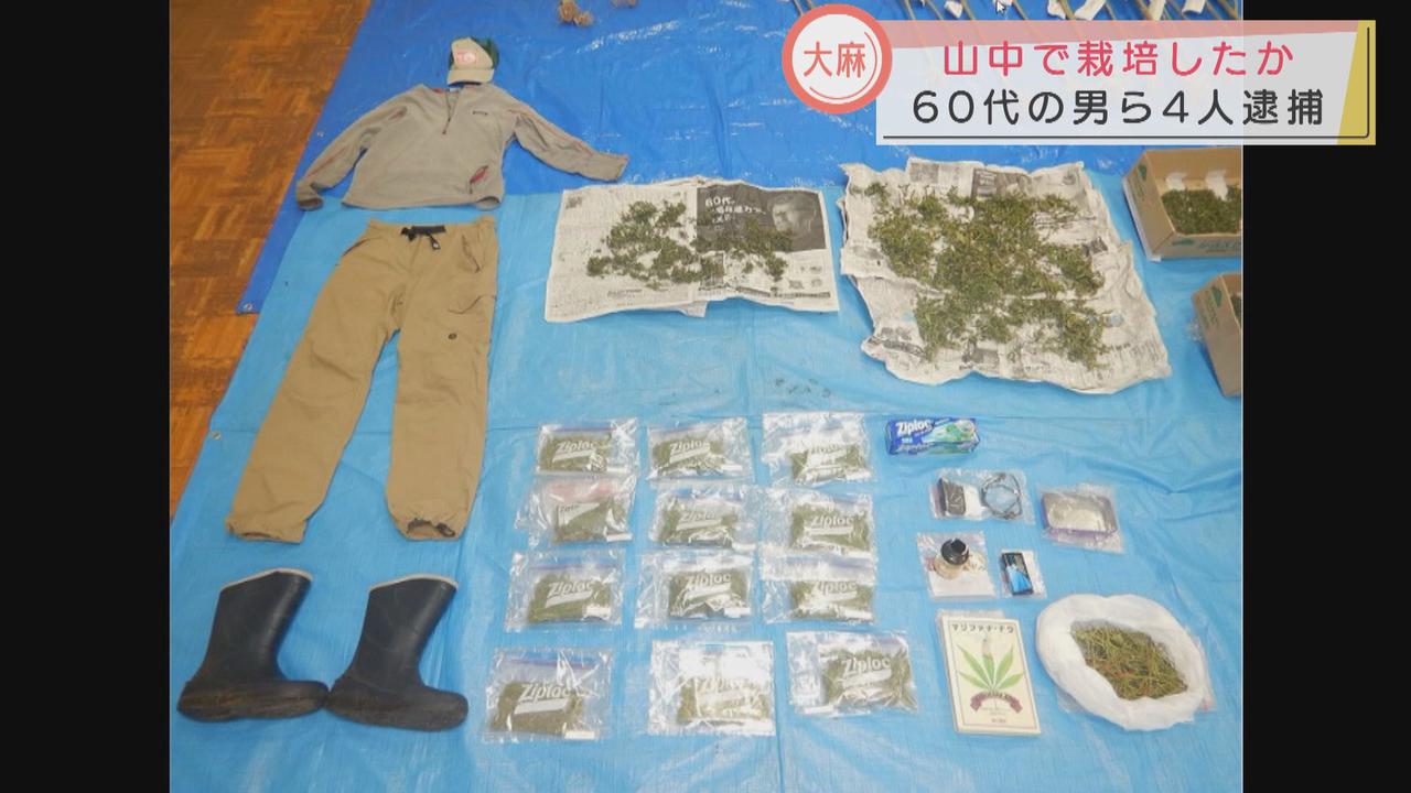 画像: 山中で大麻栽培 60代の男ら4人逮捕 静岡・富士宮市