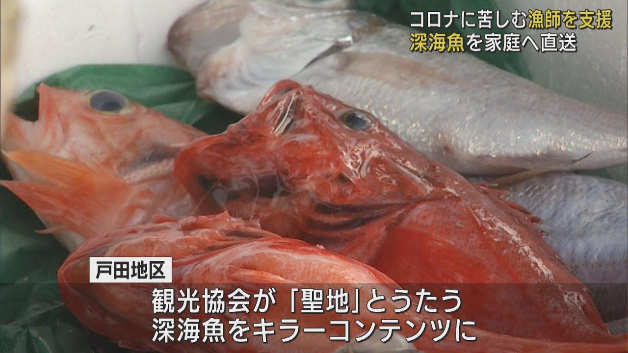 画像: コロナ禍の戸田地区を盛り上げ 「深海魚直送便」が人気に 静岡・沼津市 youtu.be