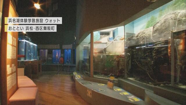 画像: 「日本一臨時休館を有効利用した水族館」…飼育員5人の小さな水族館が行ったこととは 浜松市 体験学習施設「ウォット」