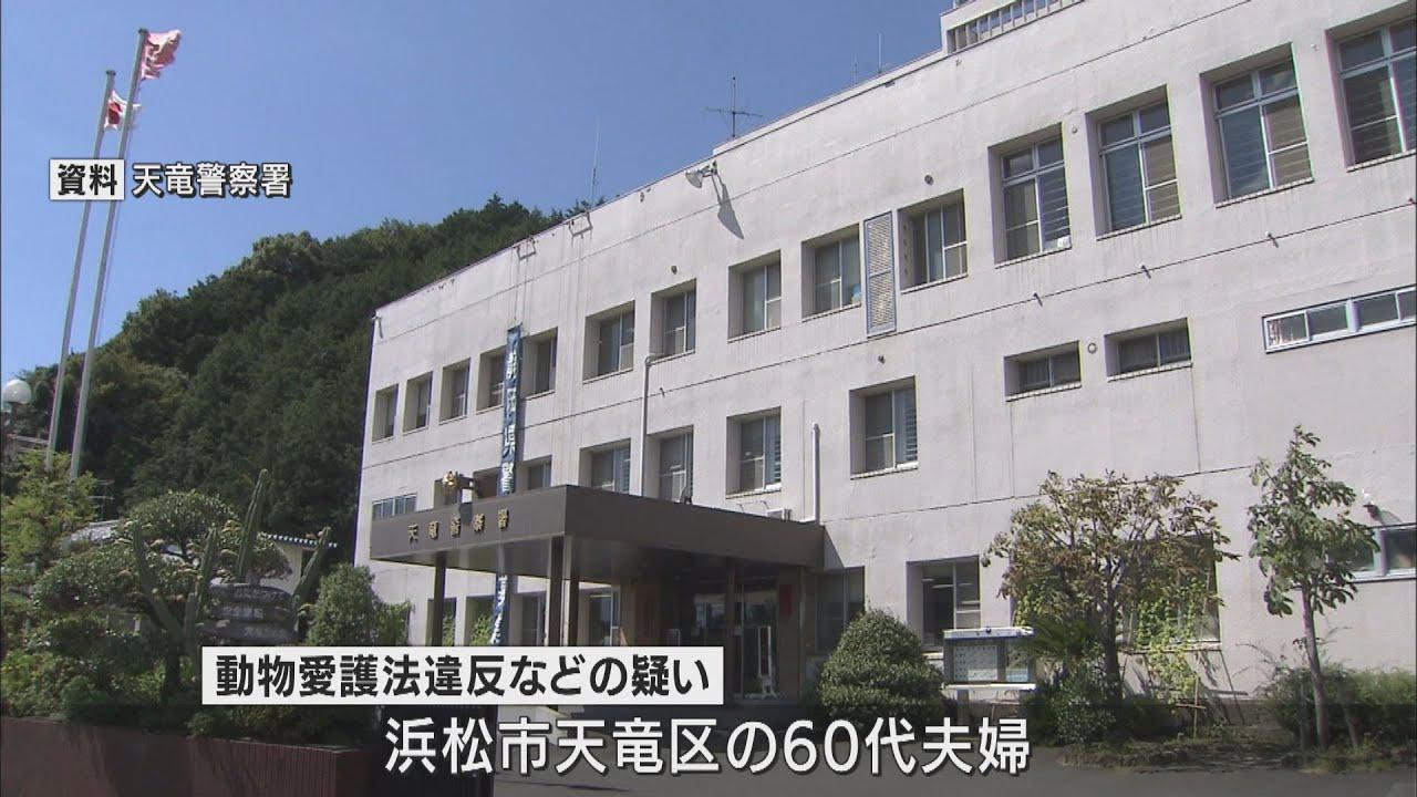 画像: ニホンザル2匹を「排泄物が堆積する」ケージで飼育した疑い 動物愛護法違反などの疑いで60代の夫婦を書類送検 浜松市天竜区 youtu.be