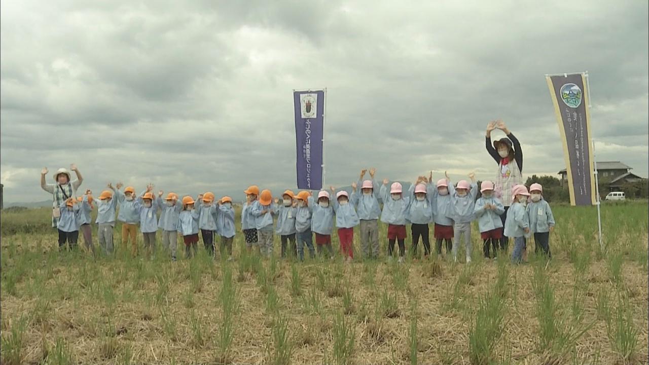画像: 「きれいなお花が咲きますように！」園児がレンゲの種まき　静岡・富士市